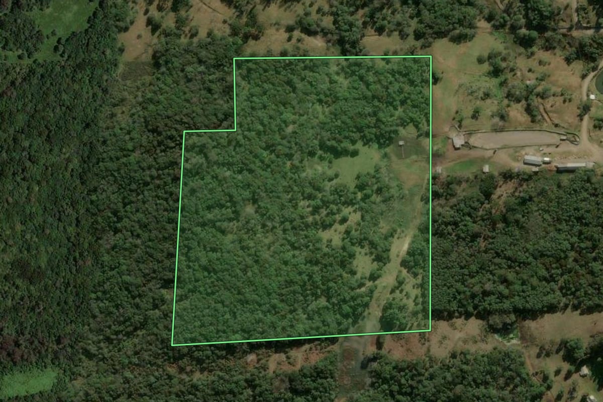 Imagem de satélite do imóvel rural em Caxias do Sul (RS), com o contorno declarado no CAR desenhado por cima.