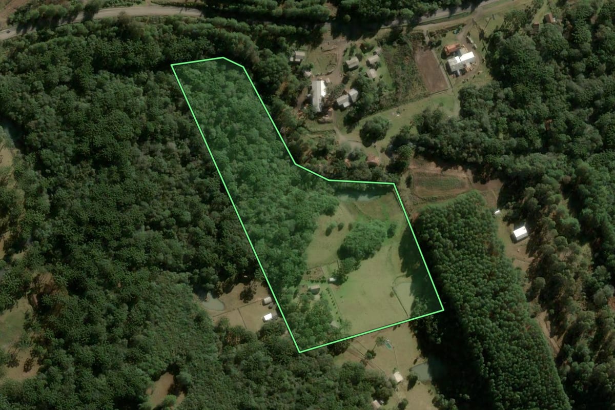Imagem de satélite do imóvel rural em Caxias do Sul (RS), com o contorno declarado no CAR desenhado por cima.