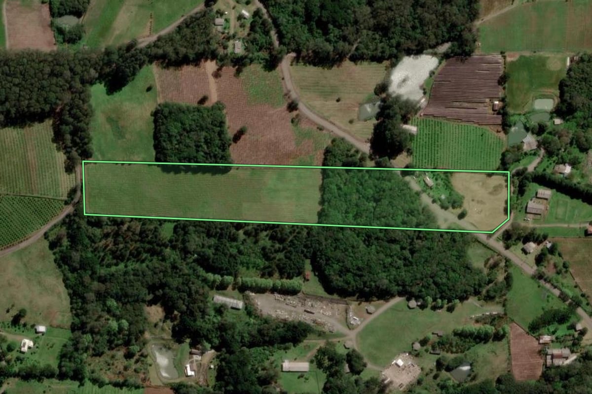 Imagem de satélite do imóvel rural em Caxias do Sul (RS), com o contorno declarado no CAR desenhado por cima.