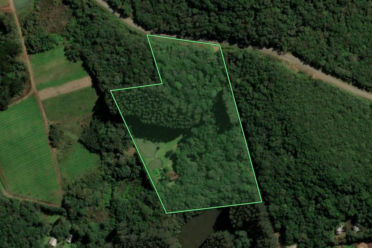 Imagem de satélite do imóvel rural em Caxias do Sul (RS), com o contorno declarado no CAR desenhado por cima.