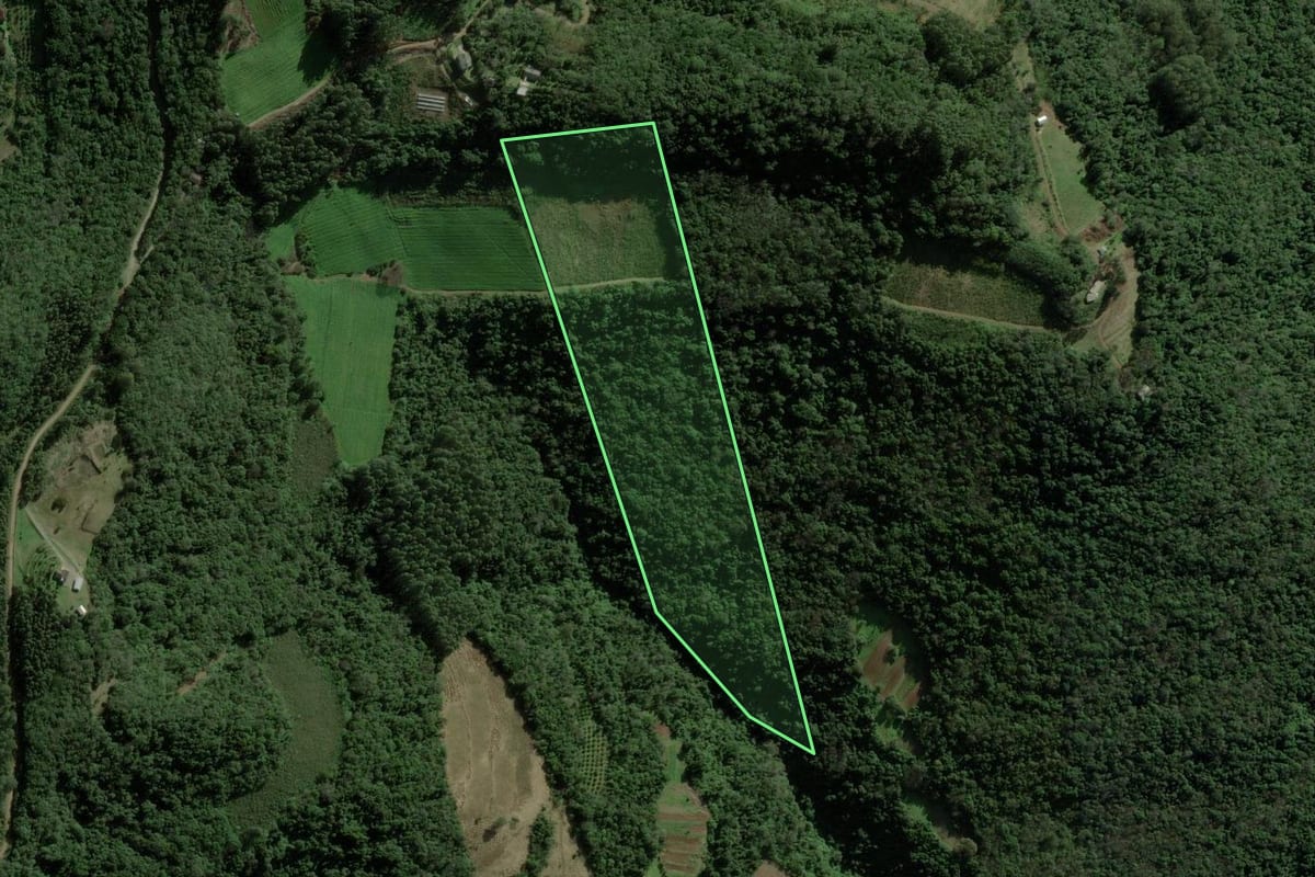 Imagem de satélite do imóvel rural em Caxias do Sul (RS), com o contorno declarado no CAR desenhado por cima.