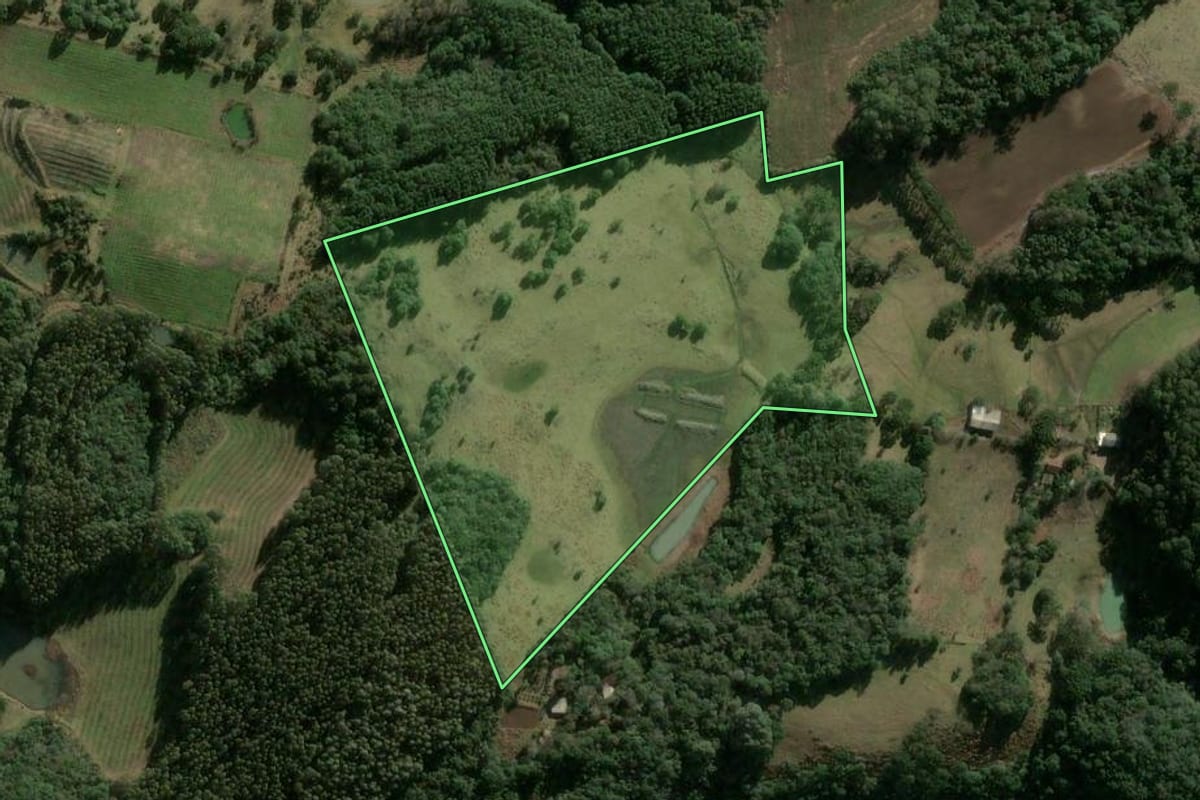 Imagem de satélite do imóvel rural em Caxias do Sul (RS), com o contorno declarado no CAR desenhado por cima.