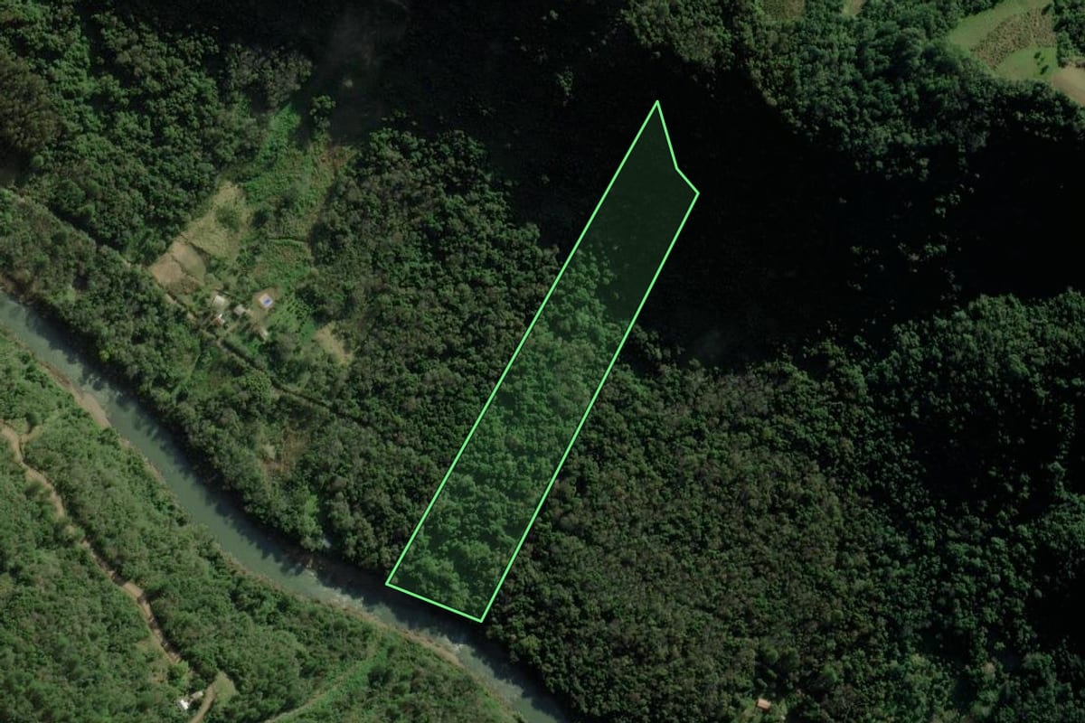 Imagem de satélite do imóvel rural em Caxias do Sul (RS), com o contorno declarado no CAR desenhado por cima.