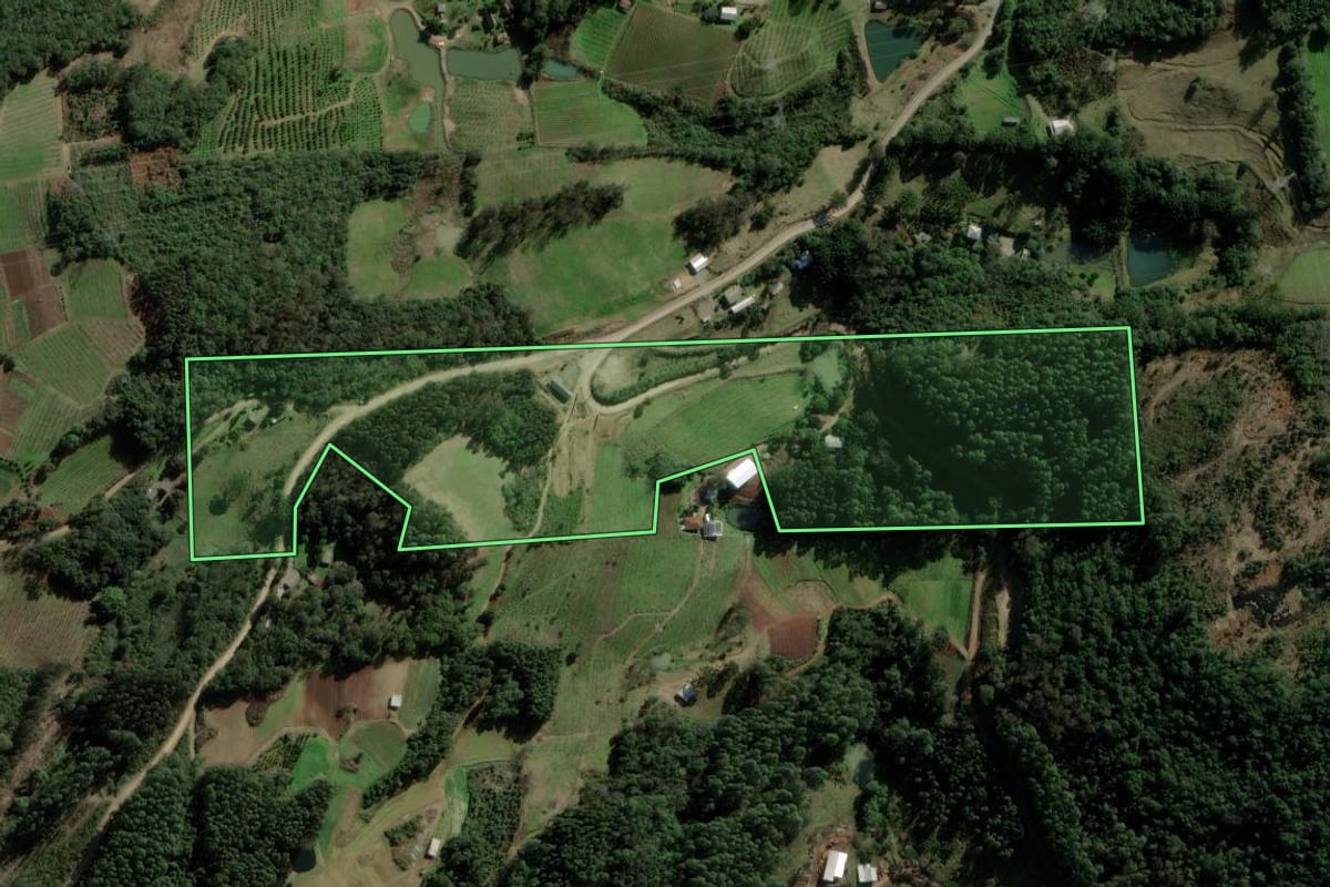 Imagem de satélite do imóvel rural em Caxias do Sul (RS), com o contorno declarado no CAR desenhado por cima.