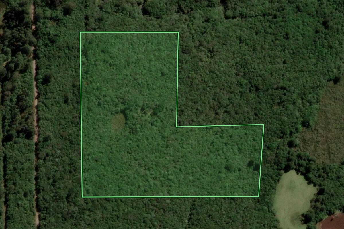 Imagem de satélite do imóvel rural em Caxias do Sul (RS), com o contorno declarado no CAR desenhado por cima.