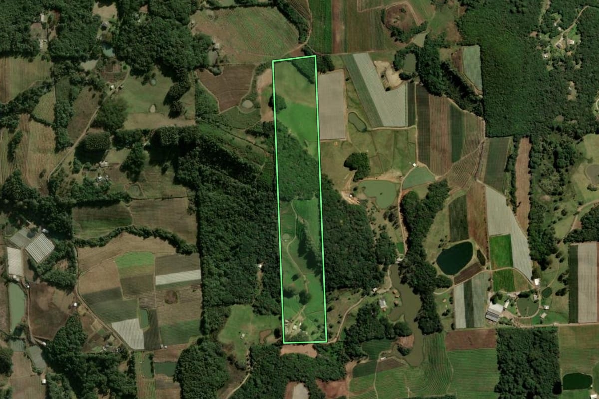 Imagem de satélite do imóvel rural em Caxias do Sul (RS), com o contorno declarado no CAR desenhado por cima.