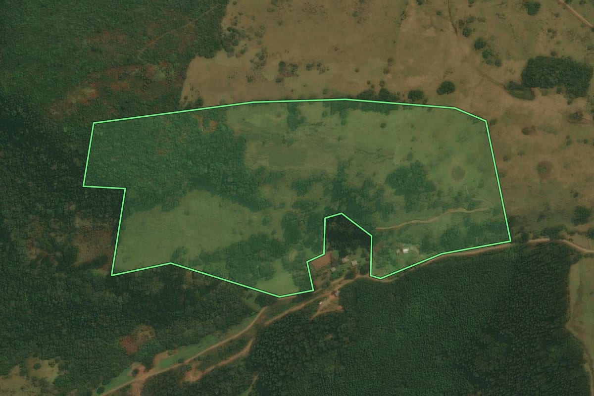 Imagem de satélite do imóvel rural em Caxias do Sul (RS), com o contorno declarado no CAR desenhado por cima.