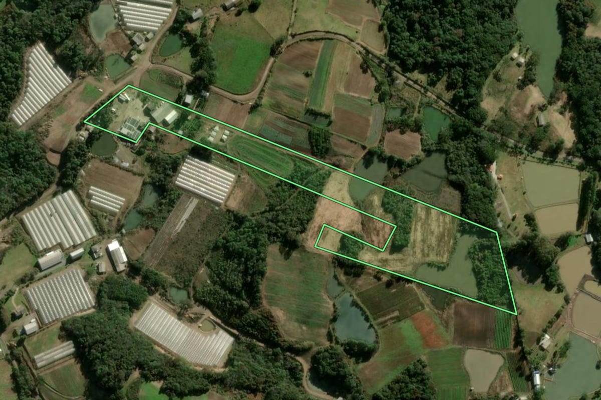 Imagem de satélite do imóvel rural em Caxias do Sul (RS), com o contorno declarado no CAR desenhado por cima.