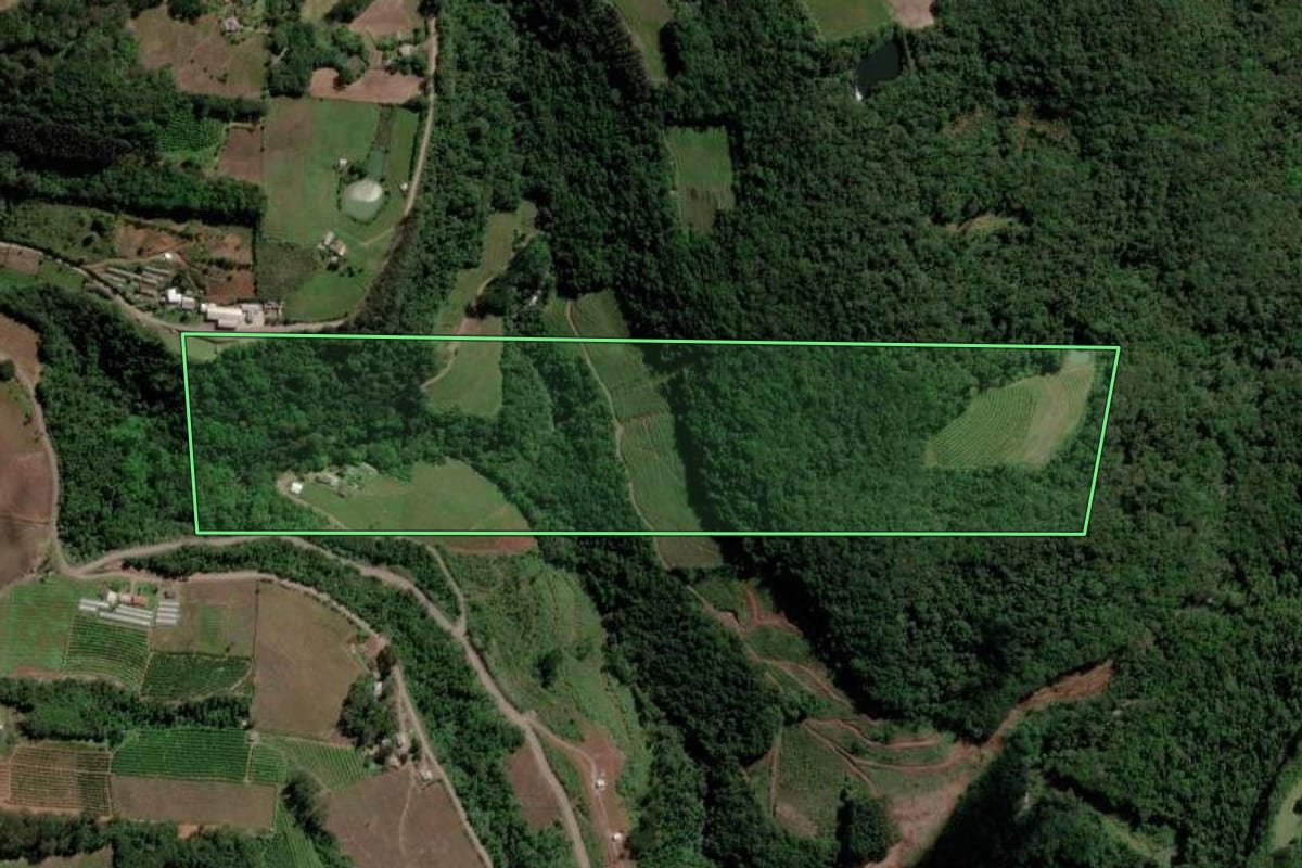 Imagem de satélite do imóvel rural em Caxias do Sul (RS), com o contorno declarado no CAR desenhado por cima.