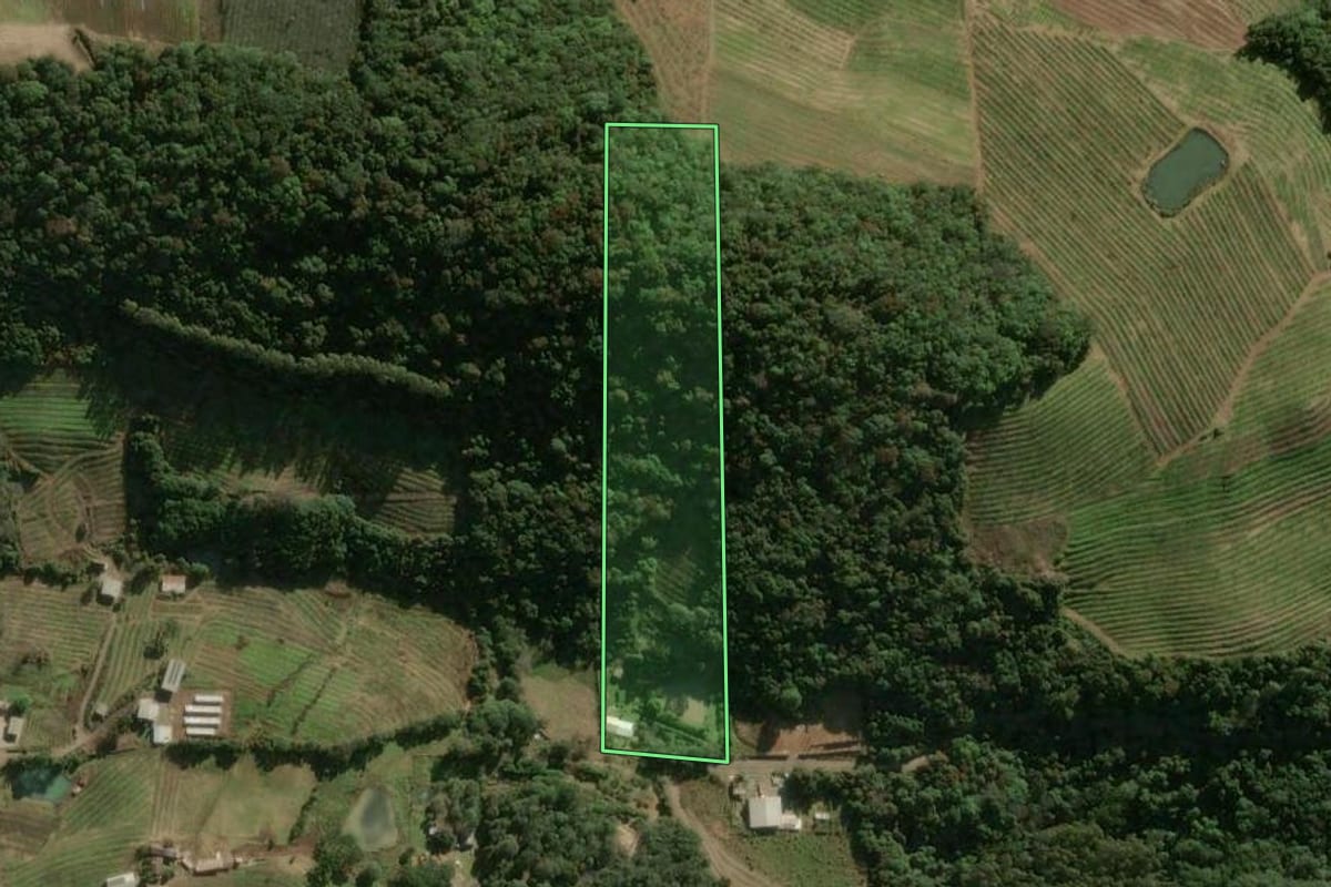 Imagem de satélite do imóvel rural em Caxias do Sul (RS), com o contorno declarado no CAR desenhado por cima.