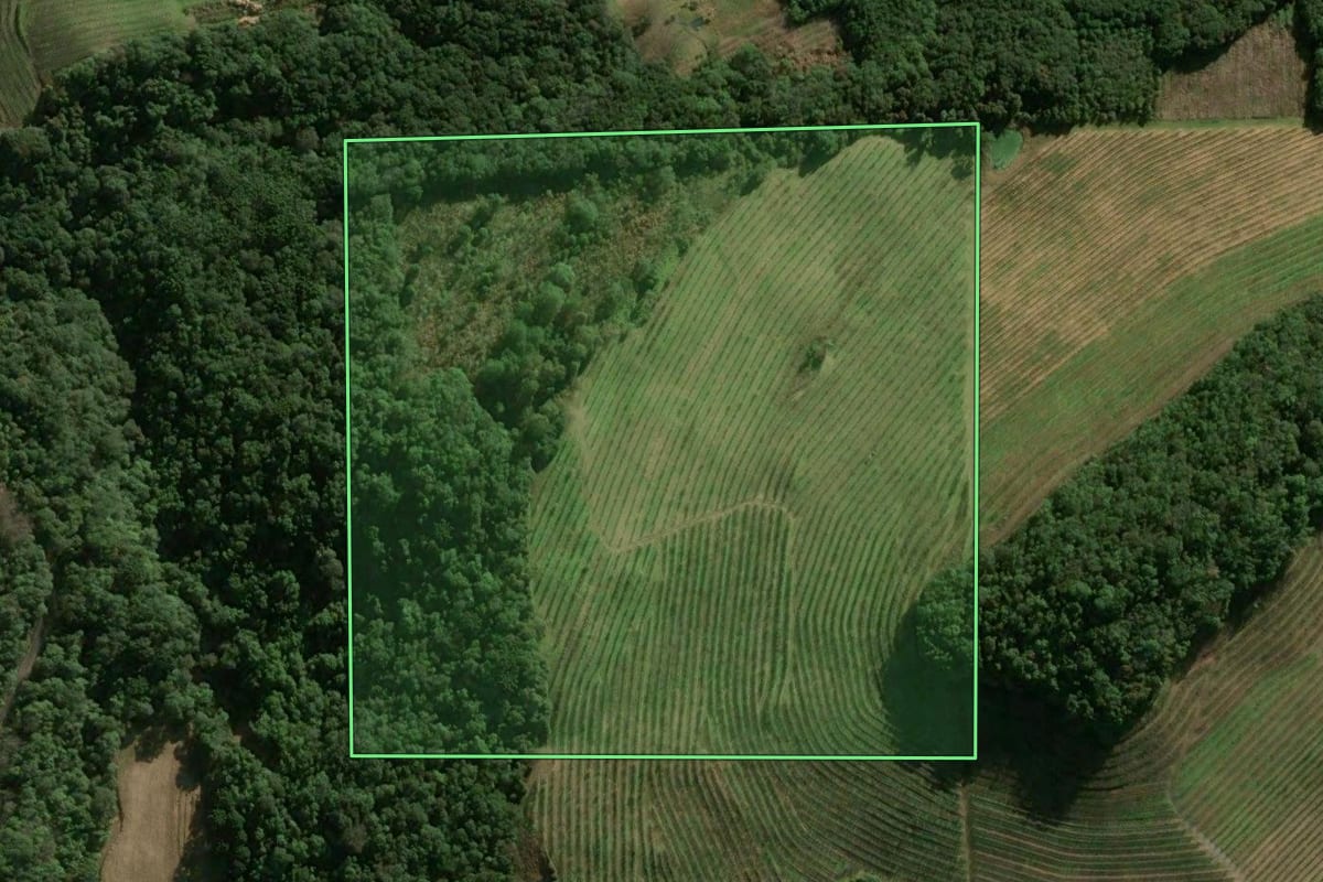Imagem de satélite do imóvel rural em Caxias do Sul (RS), com o contorno declarado no CAR desenhado por cima.
