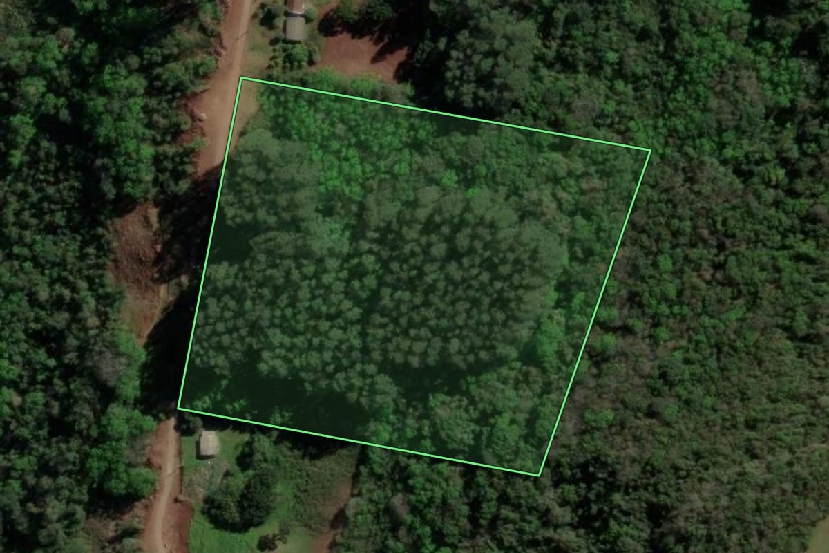 Imagem de satélite do imóvel rural em Caxias do Sul (RS), com o contorno declarado no CAR desenhado por cima.