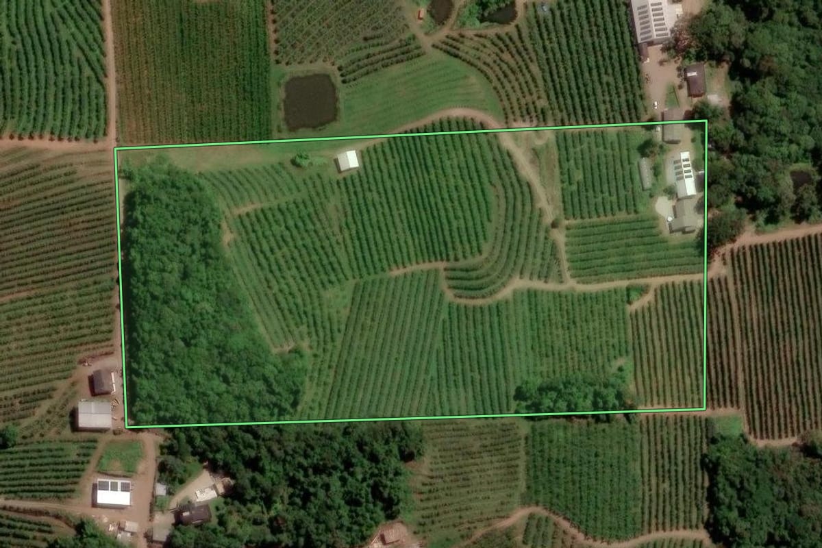 Imagem de satélite do imóvel rural em Caxias do Sul (RS), com o contorno declarado no CAR desenhado por cima.
