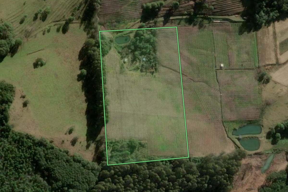 Imagem de satélite do imóvel rural em Caxias do Sul (RS), com o contorno declarado no CAR desenhado por cima.