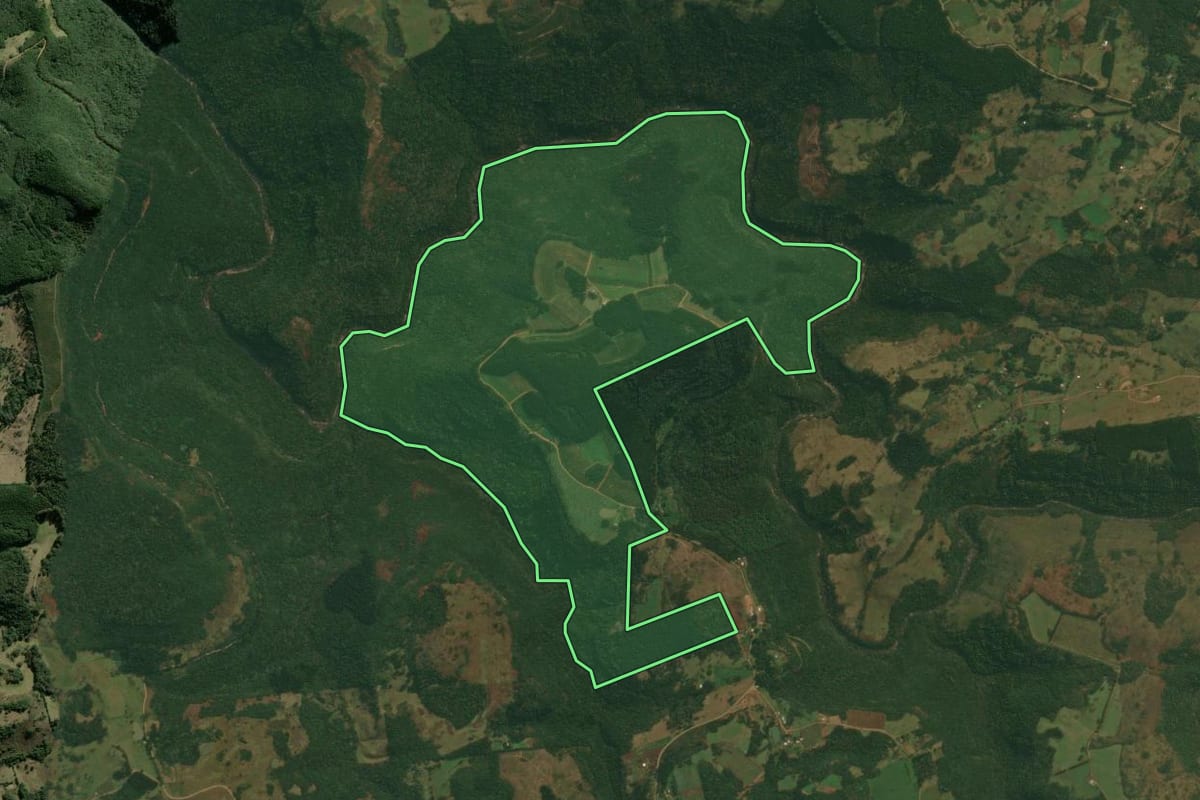 Imagem de satélite do imóvel rural em Caxias do Sul (RS), com o contorno declarado no CAR desenhado por cima.