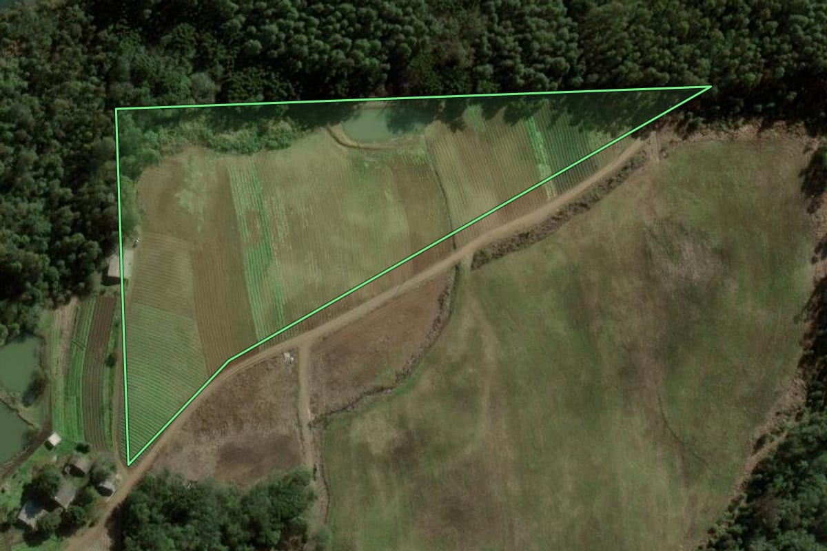 Imagem de satélite do imóvel rural em Caxias do Sul (RS), com o contorno declarado no CAR desenhado por cima.