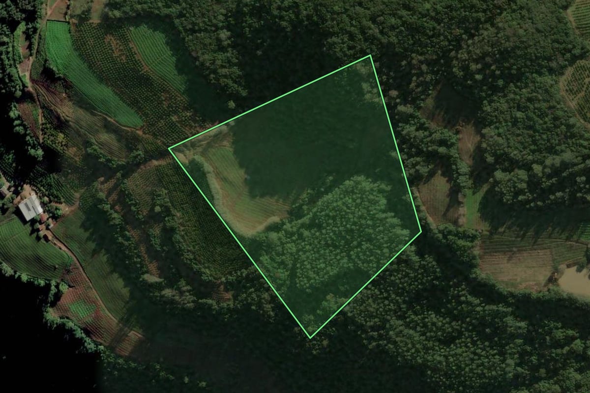 Imagem de satélite do imóvel rural em Caxias do Sul (RS), com o contorno declarado no CAR desenhado por cima.