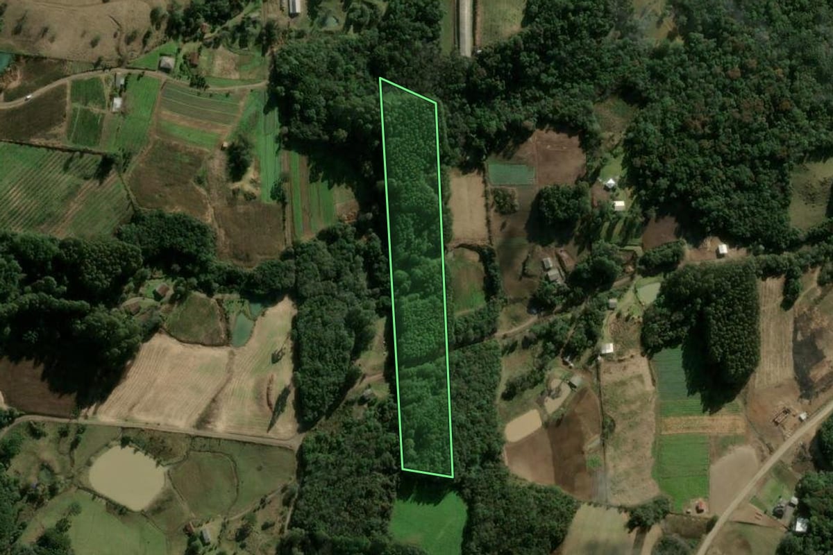 Imagem de satélite do imóvel rural em Caxias do Sul (RS), com o contorno declarado no CAR desenhado por cima.