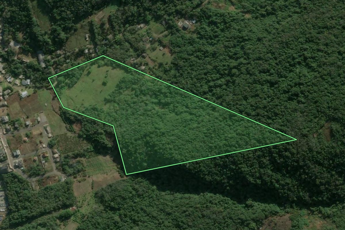 Imagem de satélite do imóvel rural em Caxias do Sul (RS), com o contorno declarado no CAR desenhado por cima.