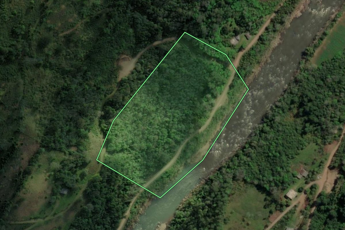 Imagem de satélite do imóvel rural em Caxias do Sul (RS), com o contorno declarado no CAR desenhado por cima.