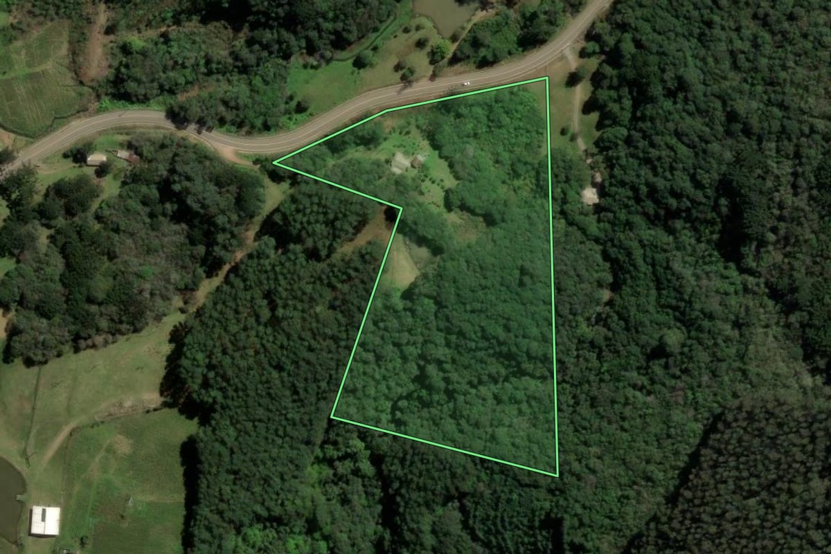 Imagem de satélite do imóvel rural em Caxias do Sul (RS), com o contorno declarado no CAR desenhado por cima.