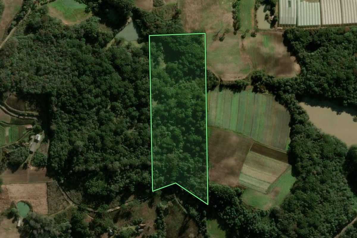 Imagem de satélite do imóvel rural em Caxias do Sul (RS), com o contorno declarado no CAR desenhado por cima.