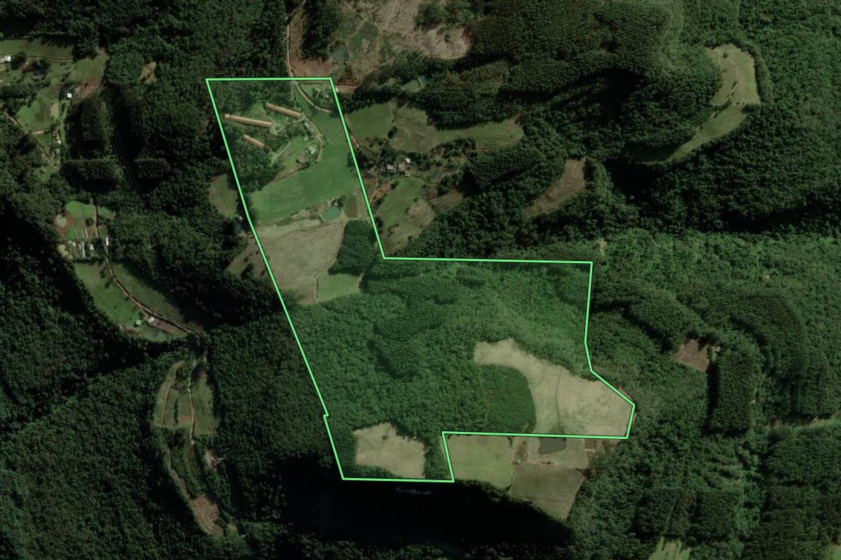 Imagem de satélite do imóvel rural em Caxias do Sul (RS), com o contorno declarado no CAR desenhado por cima.