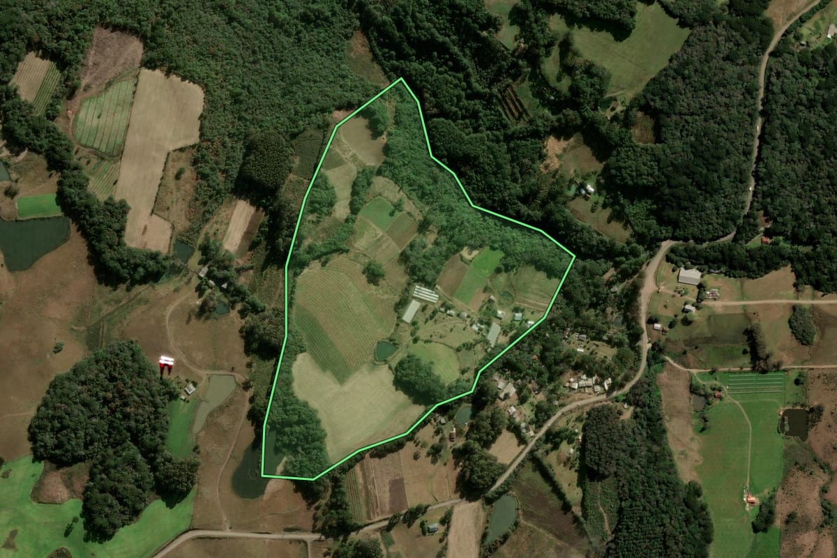 Imagem de satélite do imóvel rural em Caxias do Sul (RS), com o contorno declarado no CAR desenhado por cima.