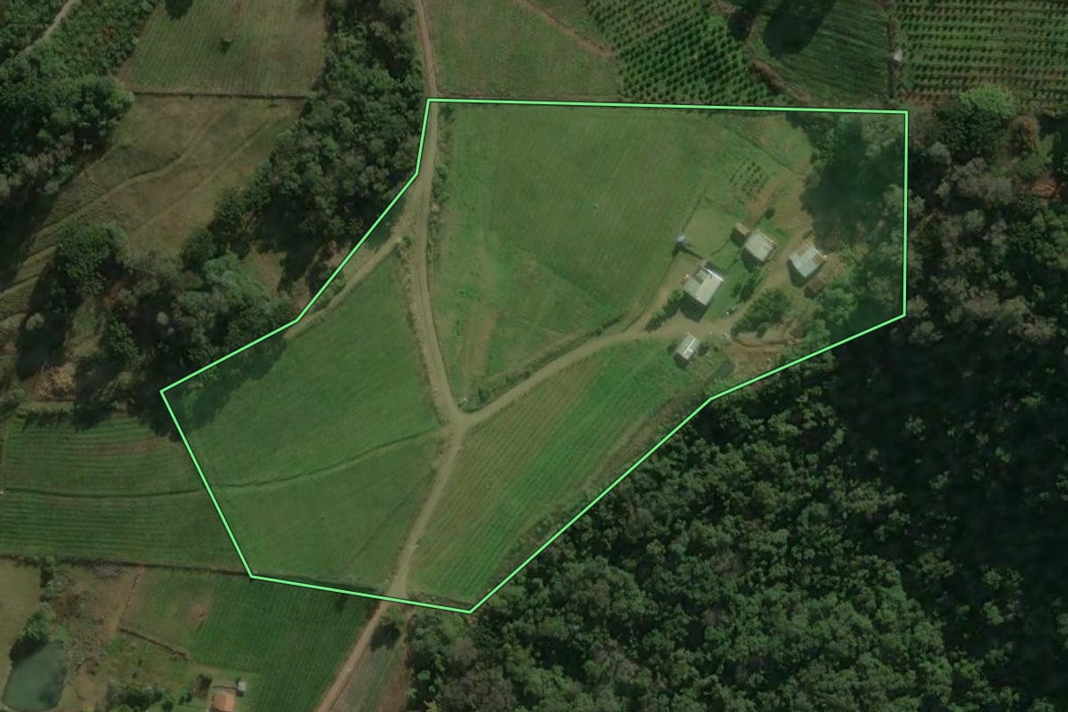 Imagem de satélite do imóvel rural em Caxias do Sul (RS), com o contorno declarado no CAR desenhado por cima.