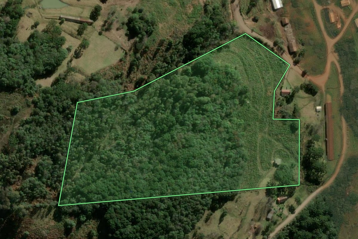 Imagem de satélite do imóvel rural em Caxias do Sul (RS), com o contorno declarado no CAR desenhado por cima.