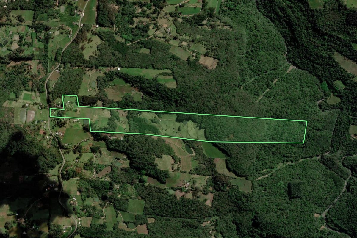 Imagem de satélite do imóvel rural em Caxias do Sul (RS), com o contorno declarado no CAR desenhado por cima.