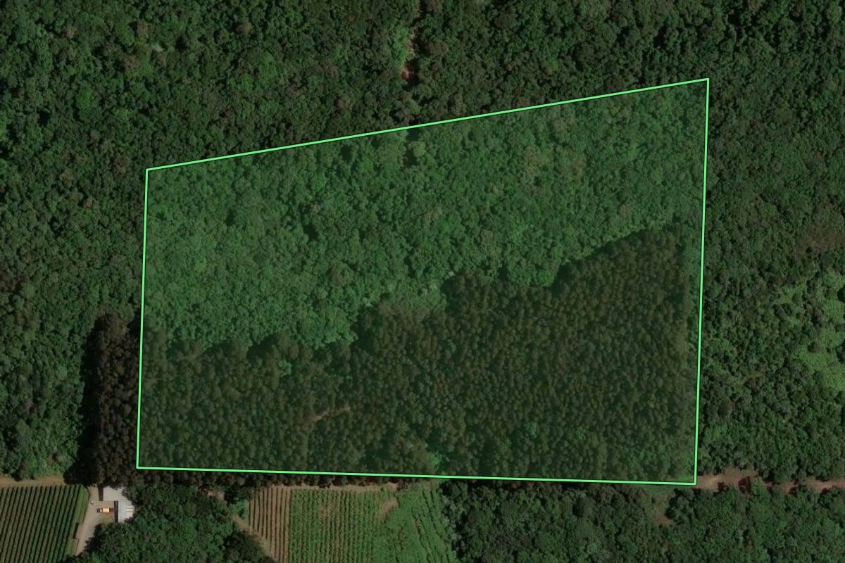 Imagem de satélite do imóvel rural em Caxias do Sul (RS), com o contorno declarado no CAR desenhado por cima.