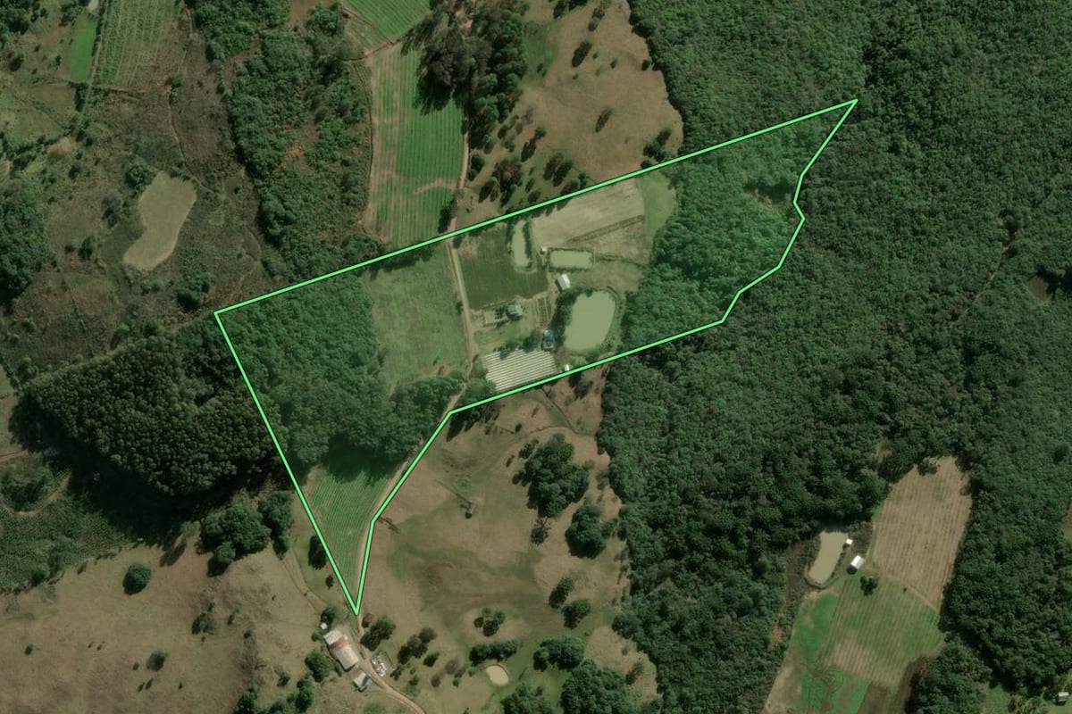 Imagem de satélite do imóvel rural em Caxias do Sul (RS), com o contorno declarado no CAR desenhado por cima.