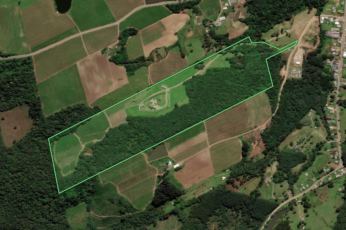 Imagem de satélite do imóvel rural em Caxias do Sul (RS), com o contorno declarado no CAR desenhado por cima.