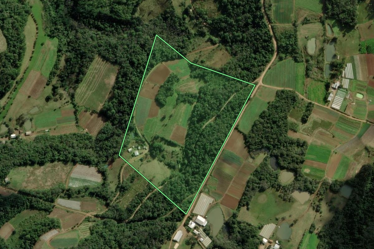 Imagem de satélite do imóvel rural em Caxias do Sul (RS), com o contorno declarado no CAR desenhado por cima.