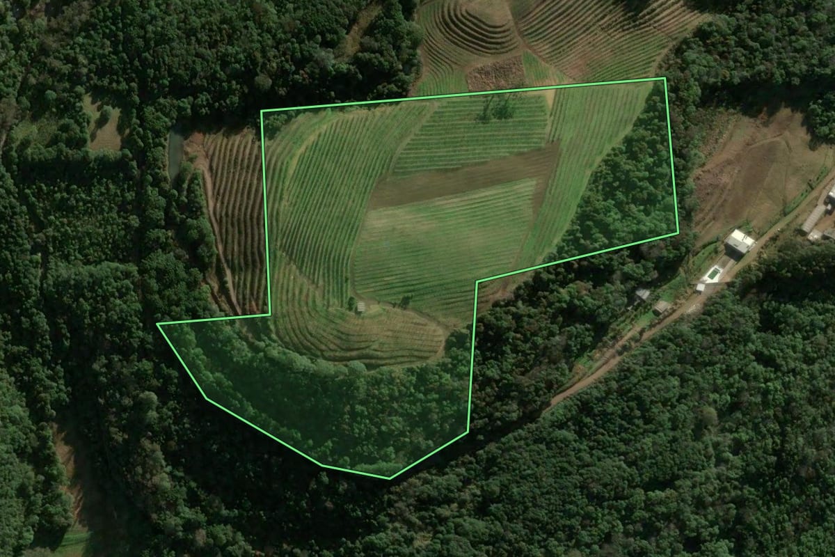 Imagem de satélite do imóvel rural em Caxias do Sul (RS), com o contorno declarado no CAR desenhado por cima.