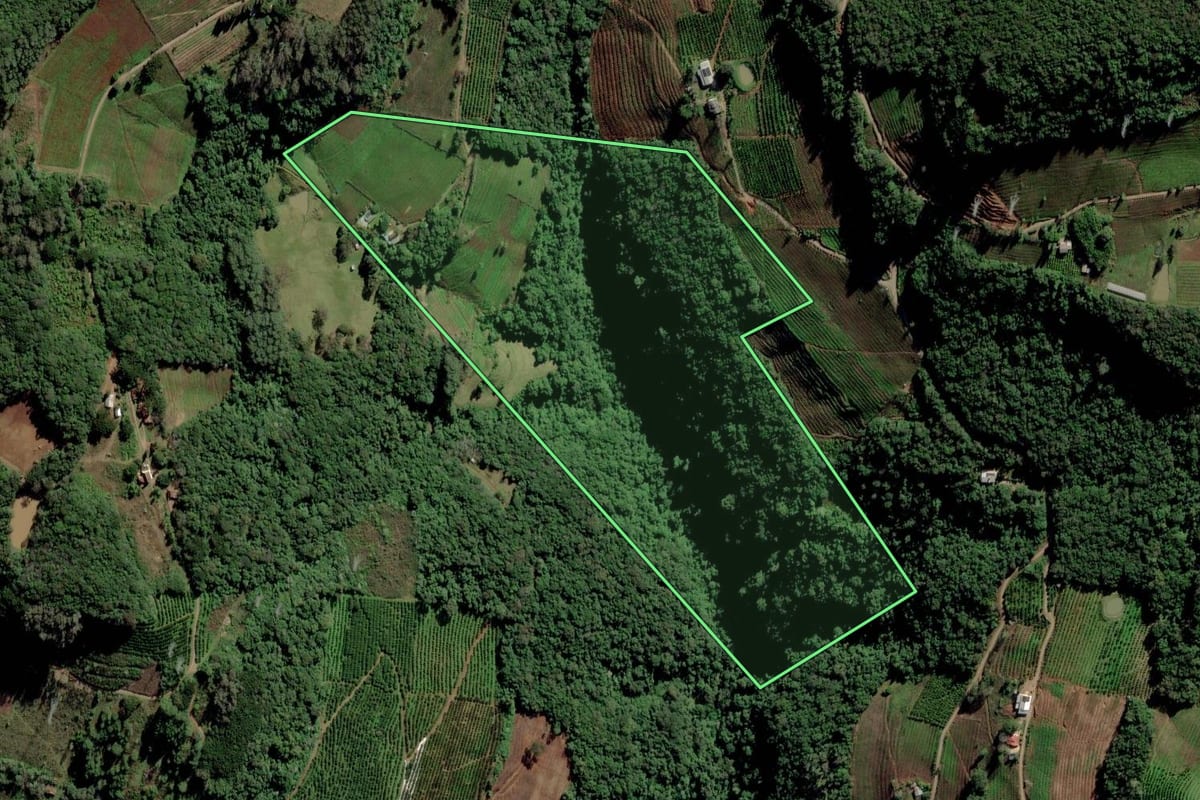 Imagem de satélite do imóvel rural em Caxias do Sul (RS), com o contorno declarado no CAR desenhado por cima.