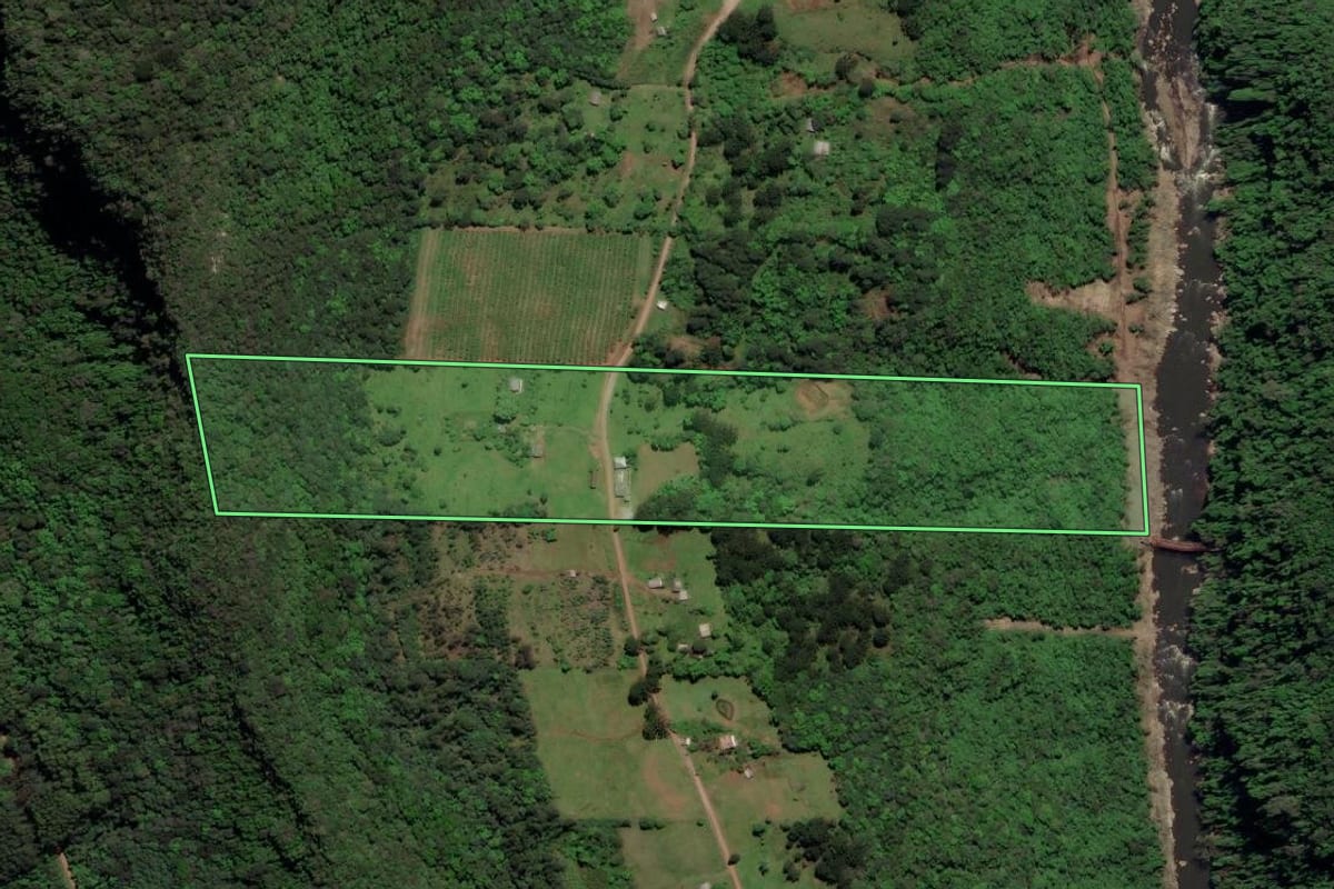 Imagem de satélite do imóvel rural em Caxias do Sul (RS), com o contorno declarado no CAR desenhado por cima.