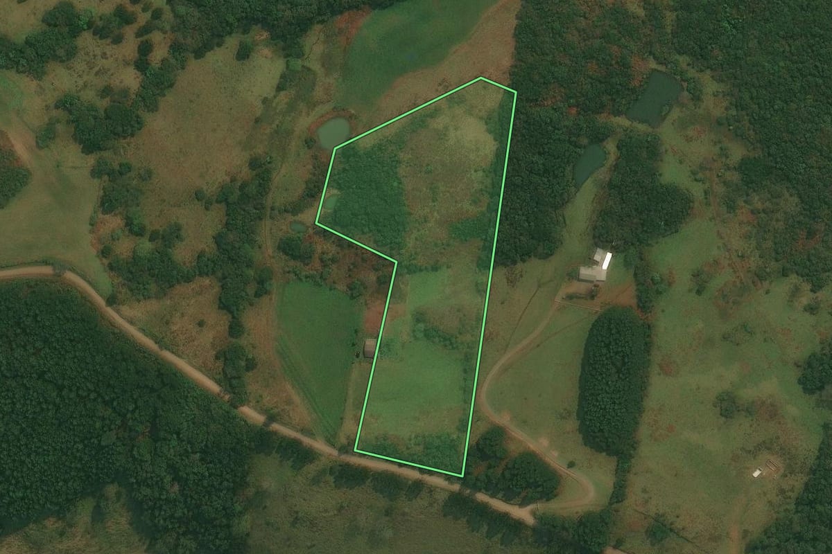 Imagem de satélite do imóvel rural em Caxias do Sul (RS), com o contorno declarado no CAR desenhado por cima.