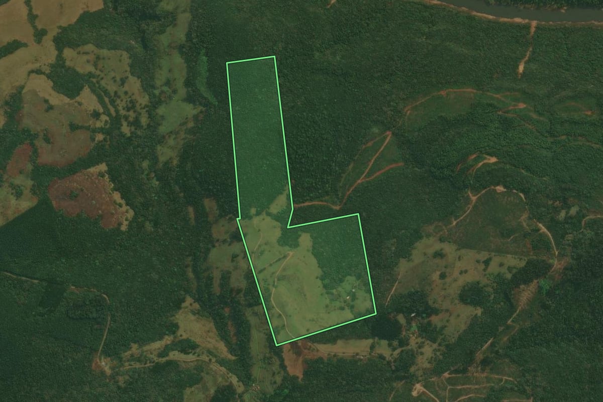 Imagem de satélite do imóvel rural em Caxias do Sul (RS), com o contorno declarado no CAR desenhado por cima.