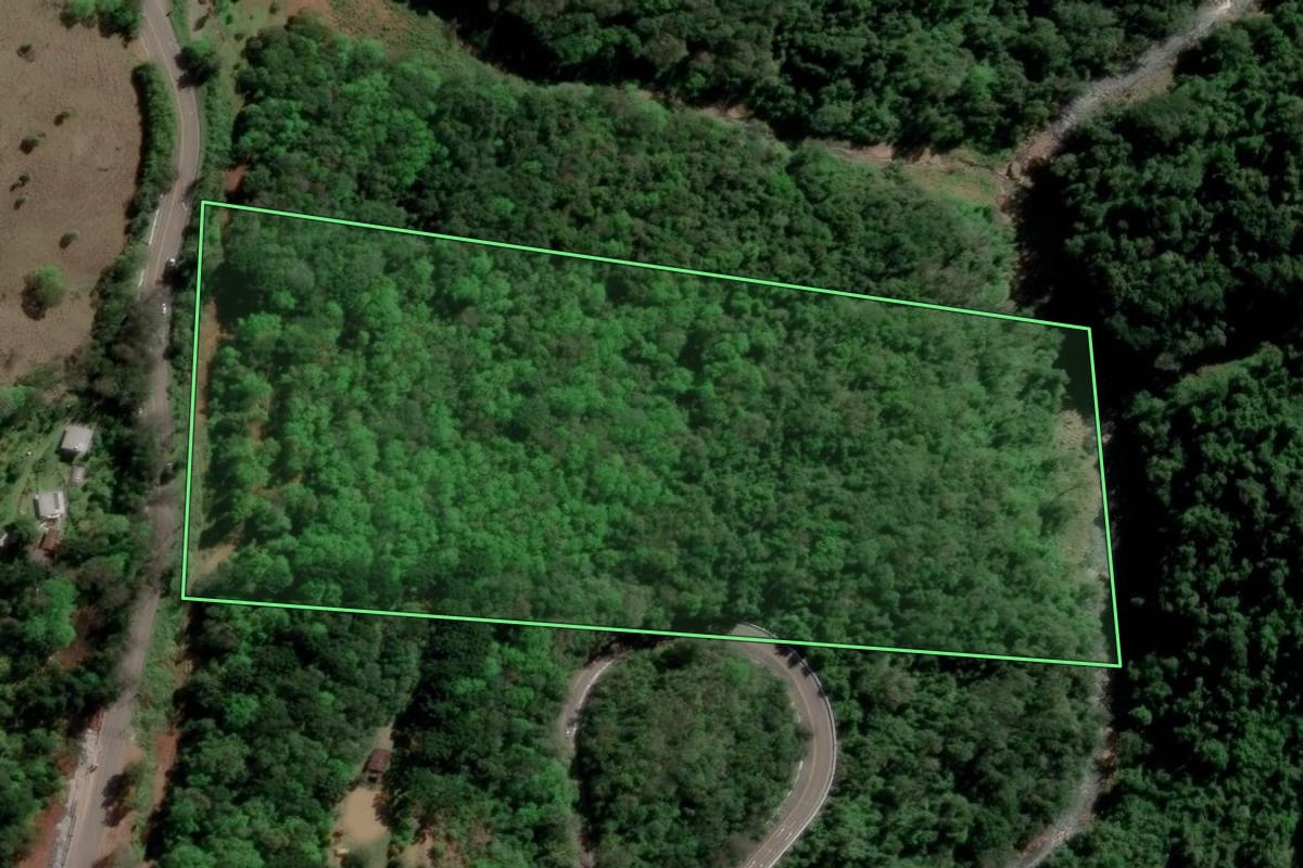 Imagem de satélite do imóvel rural em Caxias do Sul (RS), com o contorno declarado no CAR desenhado por cima.