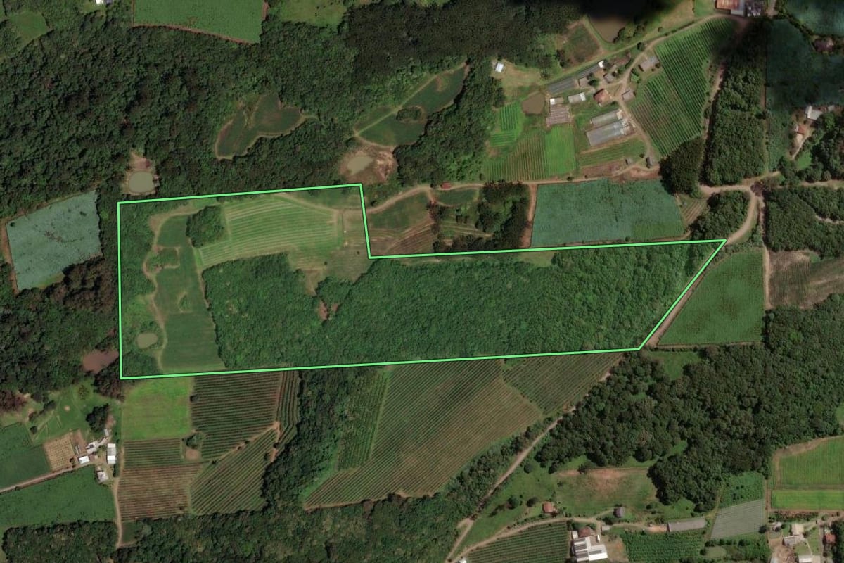 Imagem de satélite do imóvel rural em Caxias do Sul (RS), com o contorno declarado no CAR desenhado por cima.