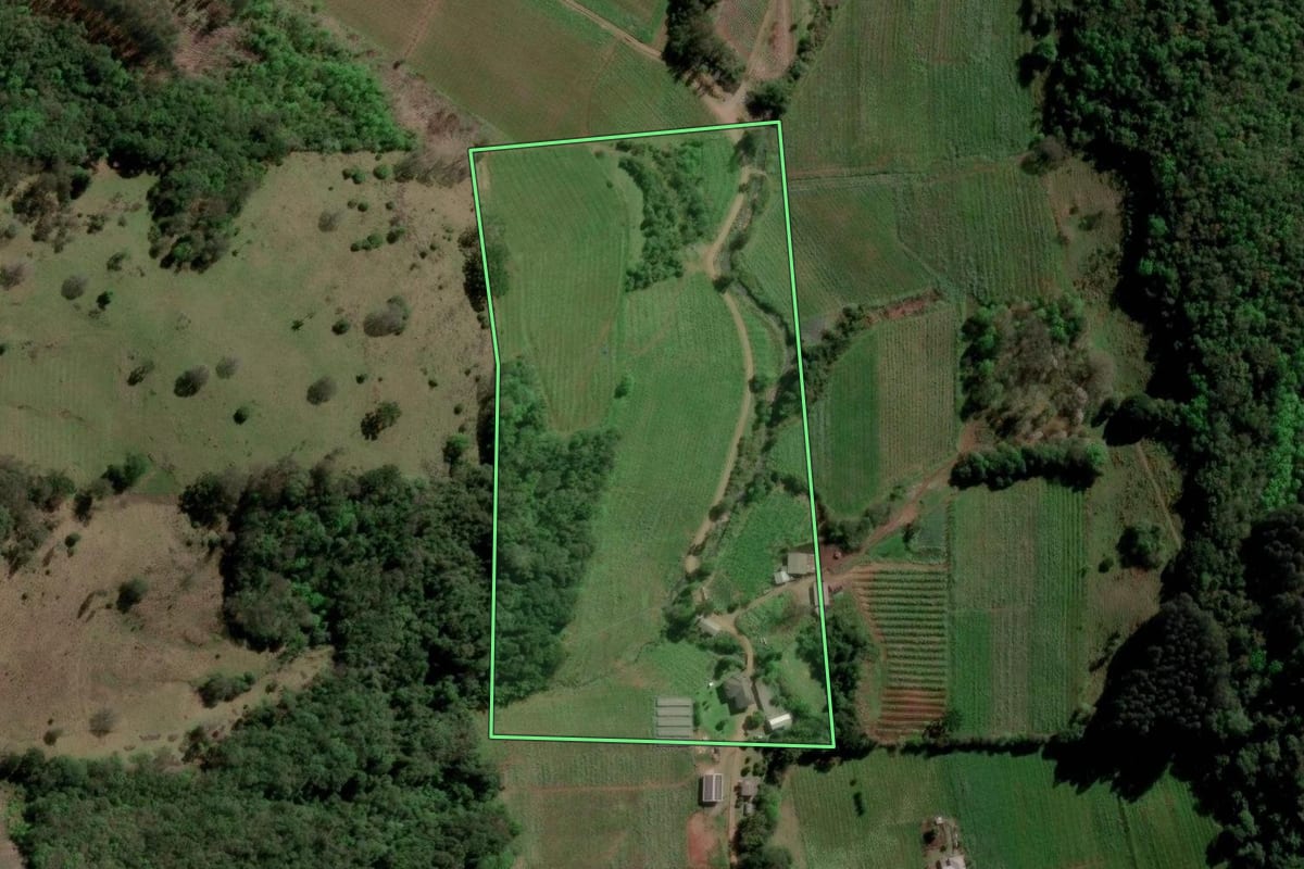 Imagem de satélite do imóvel rural em Caxias do Sul (RS), com o contorno declarado no CAR desenhado por cima.