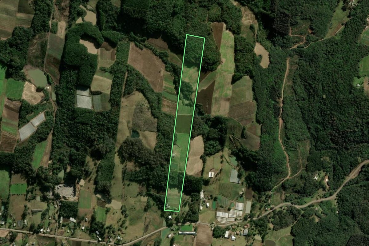 Imagem de satélite do imóvel rural em Caxias do Sul (RS), com o contorno declarado no CAR desenhado por cima.