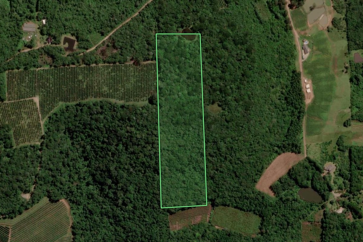 Imagem de satélite do imóvel rural em Caxias do Sul (RS), com o contorno declarado no CAR desenhado por cima.