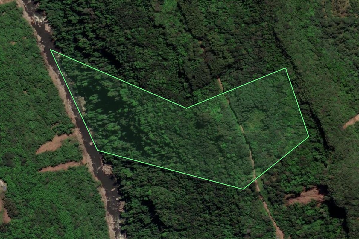 Imagem de satélite do imóvel rural em Caxias do Sul (RS), com o contorno declarado no CAR desenhado por cima.