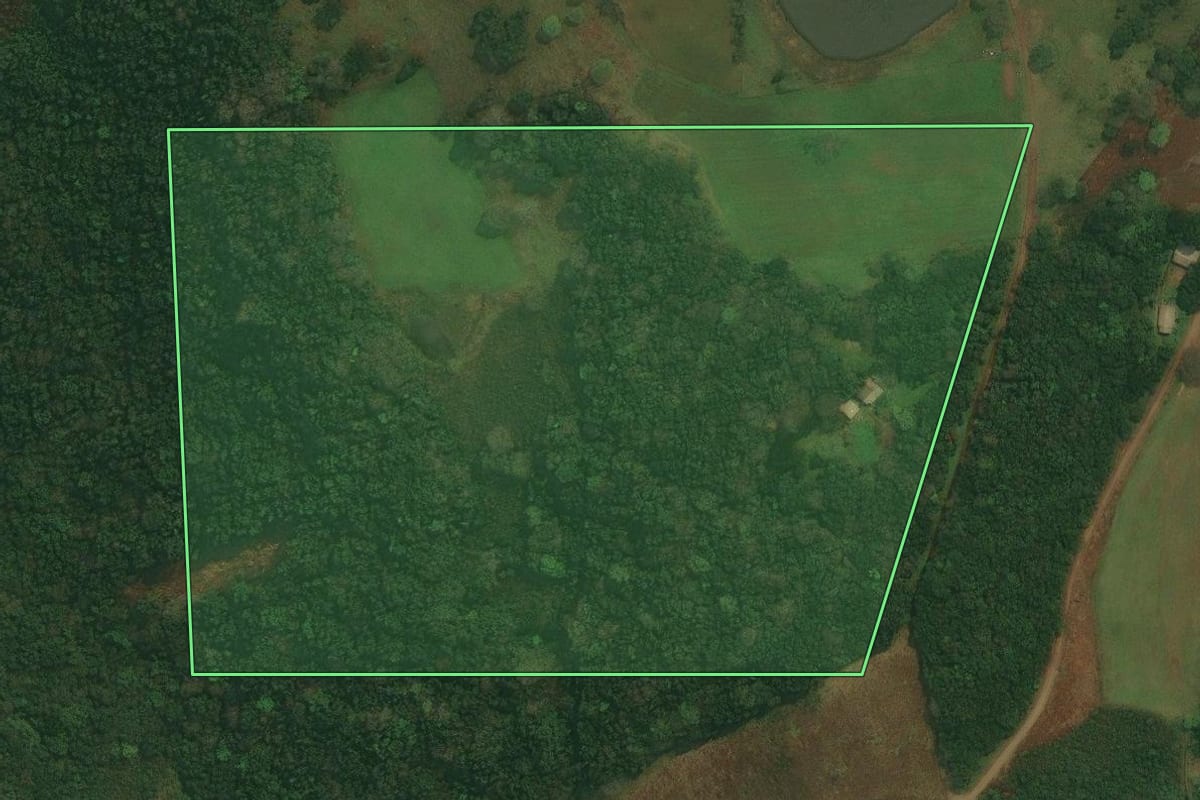 Imagem de satélite do imóvel rural em Caxias do Sul (RS), com o contorno declarado no CAR desenhado por cima.