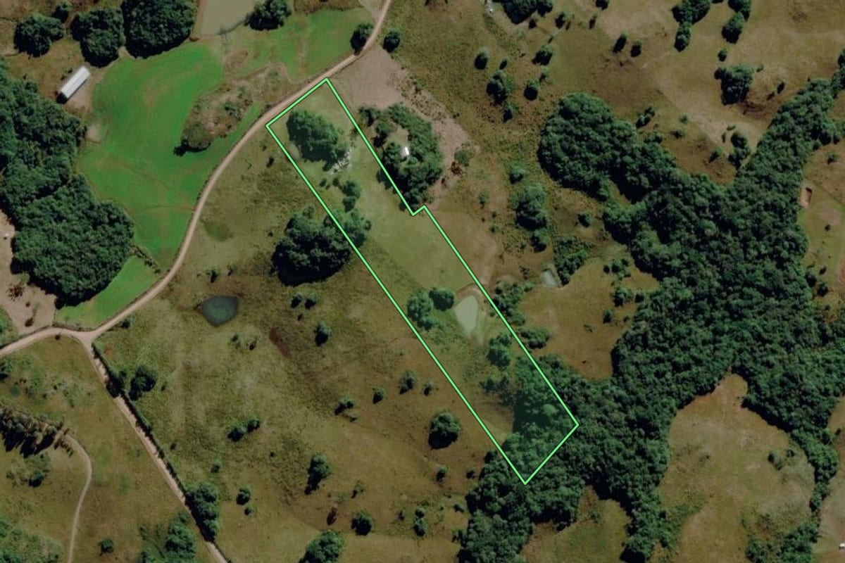 Imagem de satélite do imóvel rural em Caxias do Sul (RS), com o contorno declarado no CAR desenhado por cima.