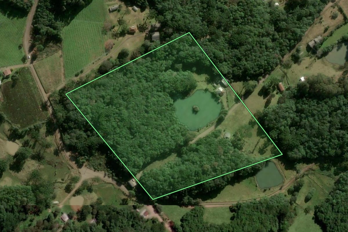 Imagem de satélite do imóvel rural em Caxias do Sul (RS), com o contorno declarado no CAR desenhado por cima.
