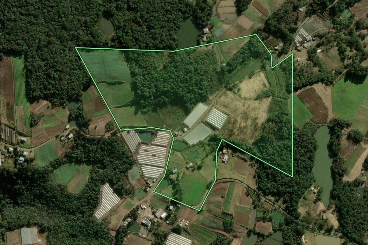 Imagem de satélite do imóvel rural em Caxias do Sul (RS), com o contorno declarado no CAR desenhado por cima.